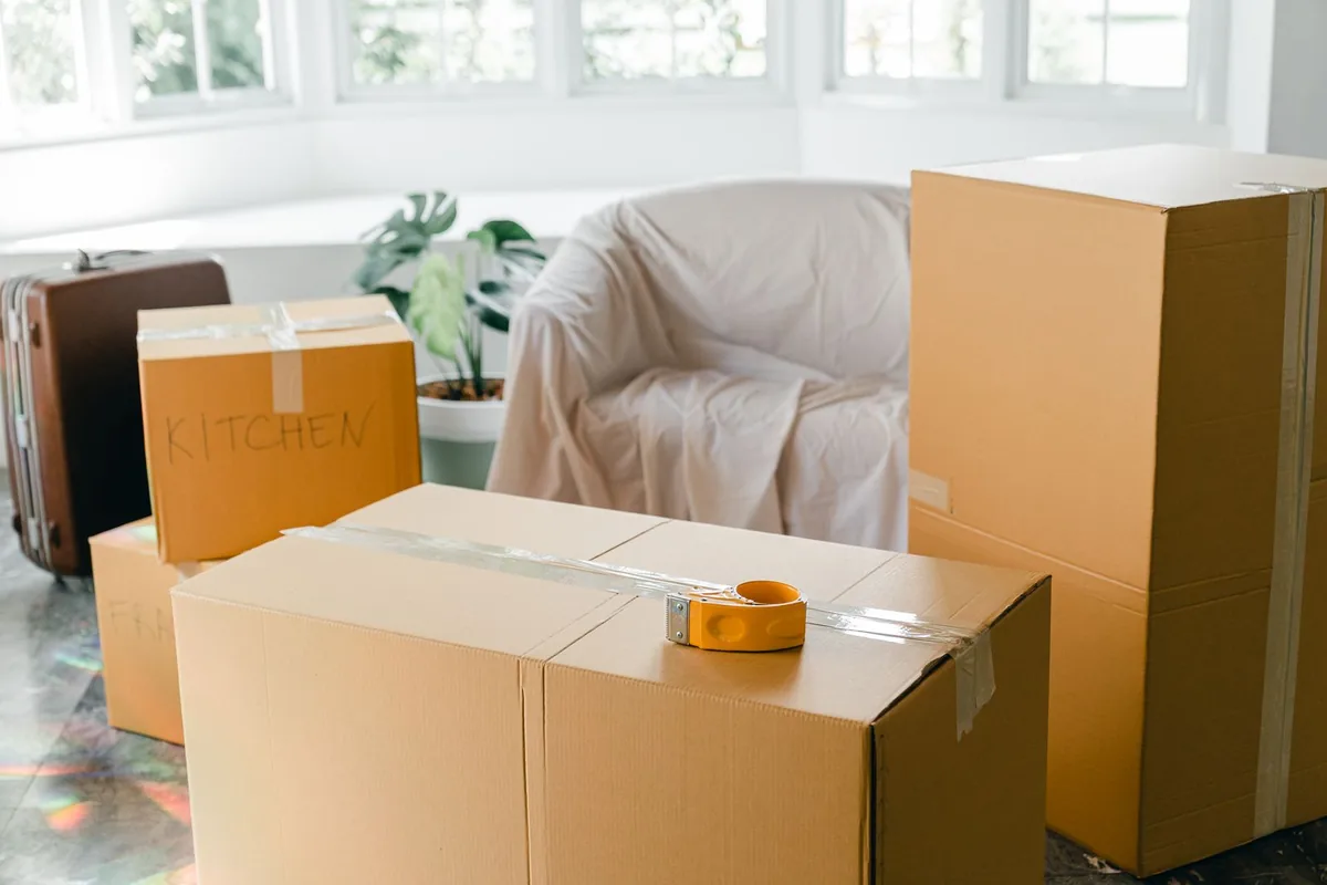 Hoarding Cleanup in Breckenridge, CO